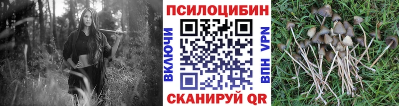 ссылка на мегу ONION Россошь Псилоцибиновые грибы прущие грибы