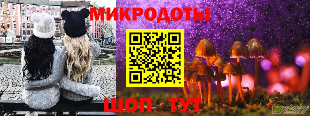 Галлюциногенные грибы GOLDEN TEACHER  Вход с VPN  Россошь 