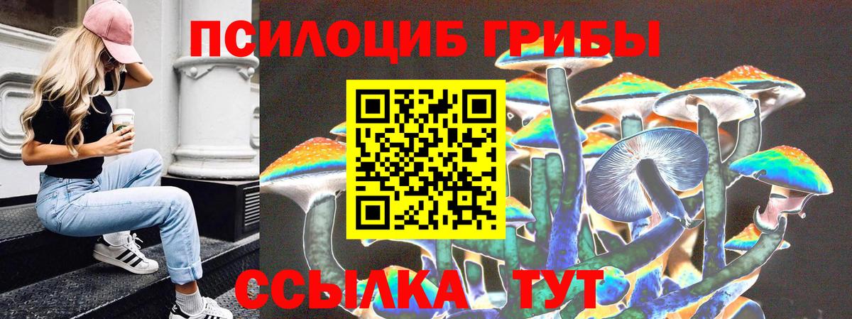 Галлюциногенные грибы GOLDEN TEACHER Россошь