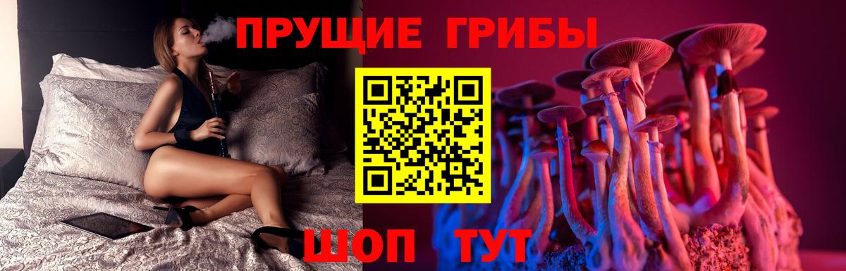 APVP Россошь